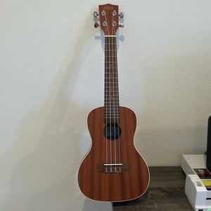Kala mahogany concert ukulele